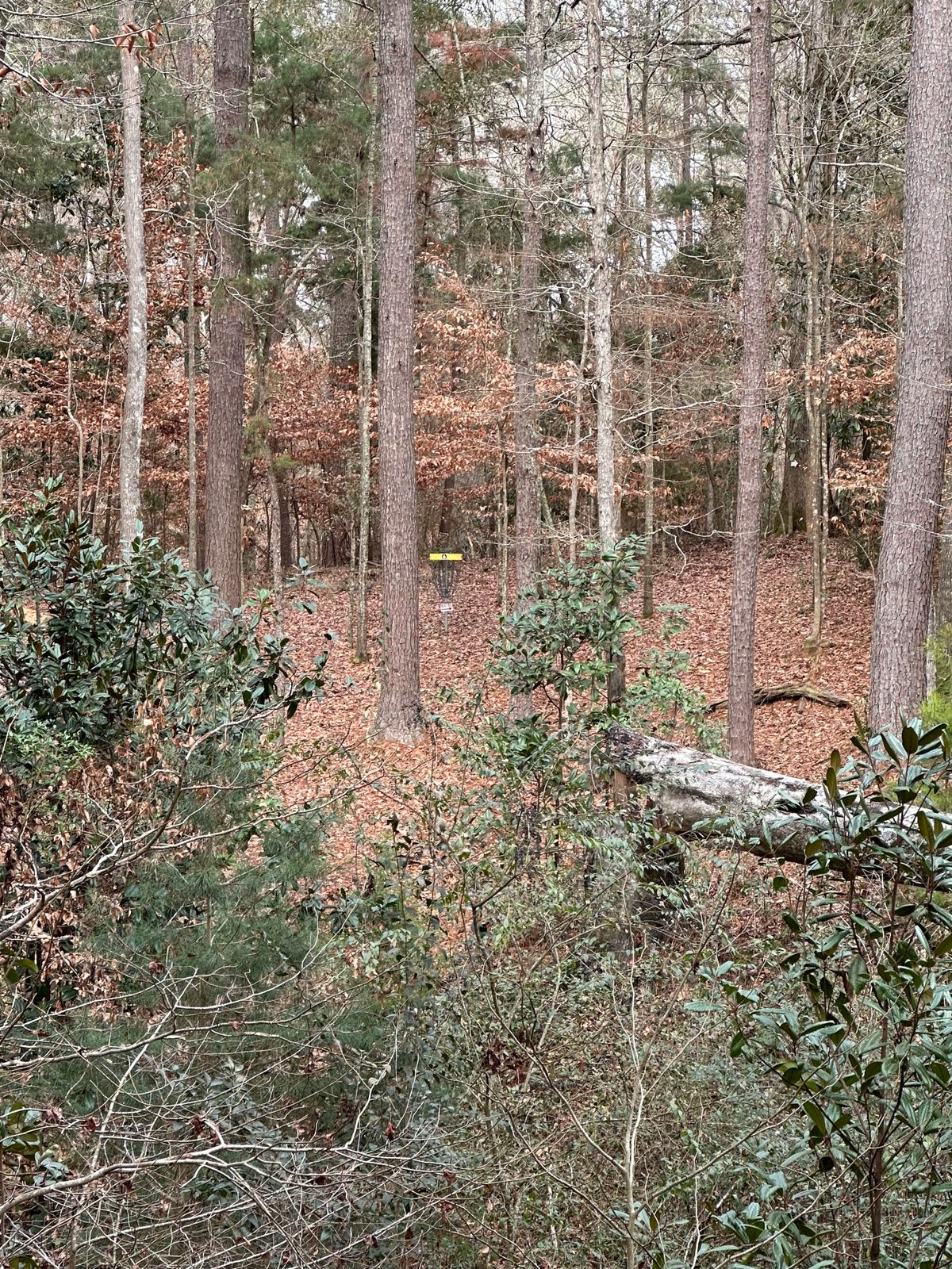 Hole 6