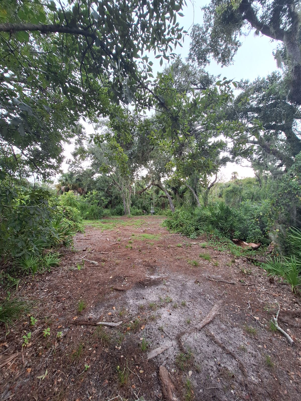 Hole 6 approach to pin