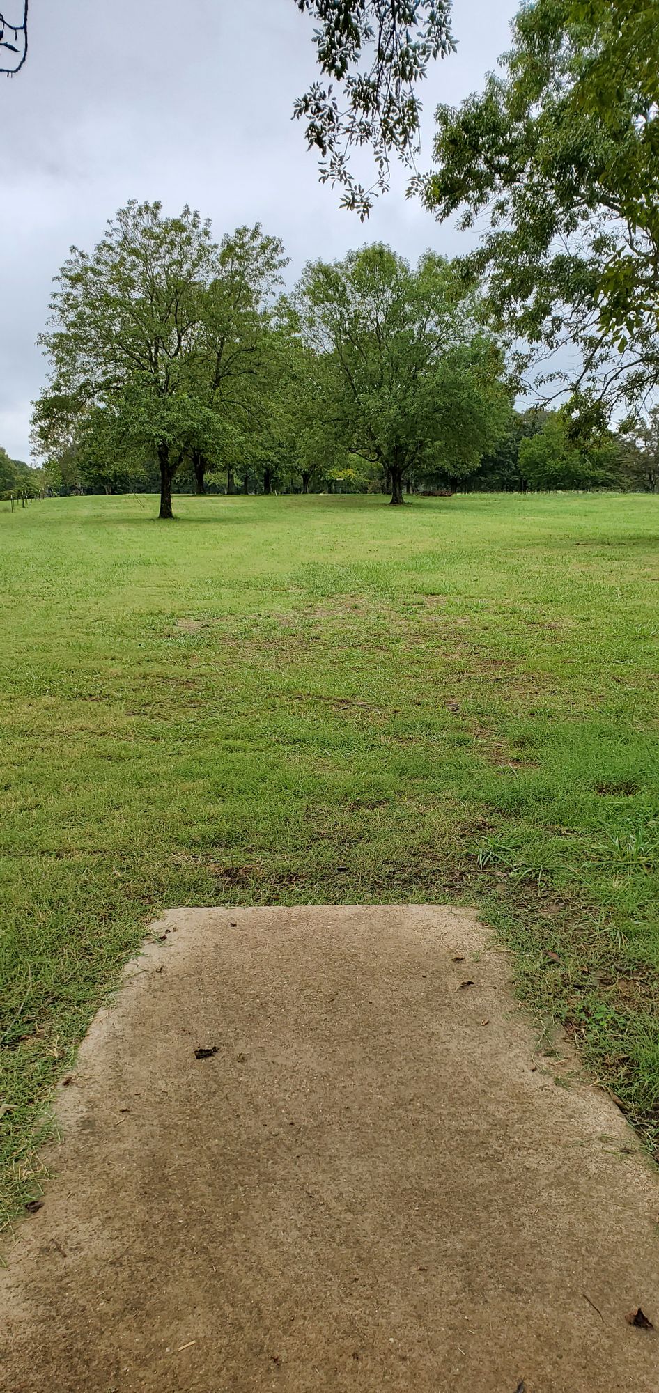 Hole 15