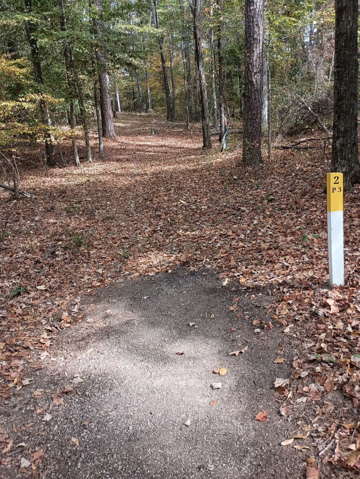 Hole 2