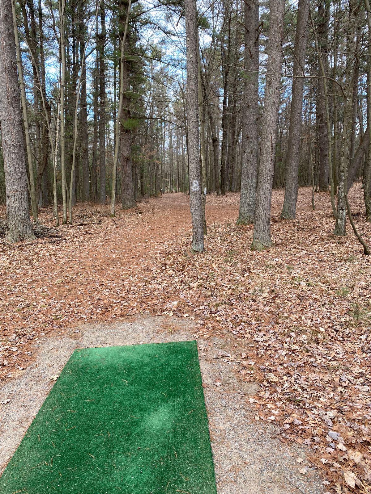 Hole 6