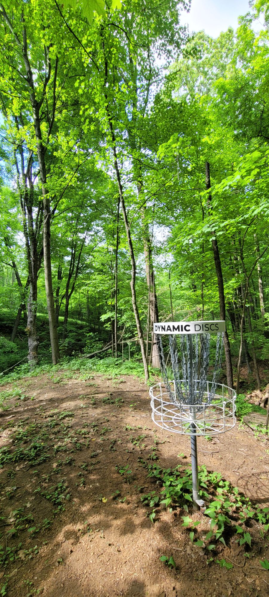16 basket, reverse photo towards tee
