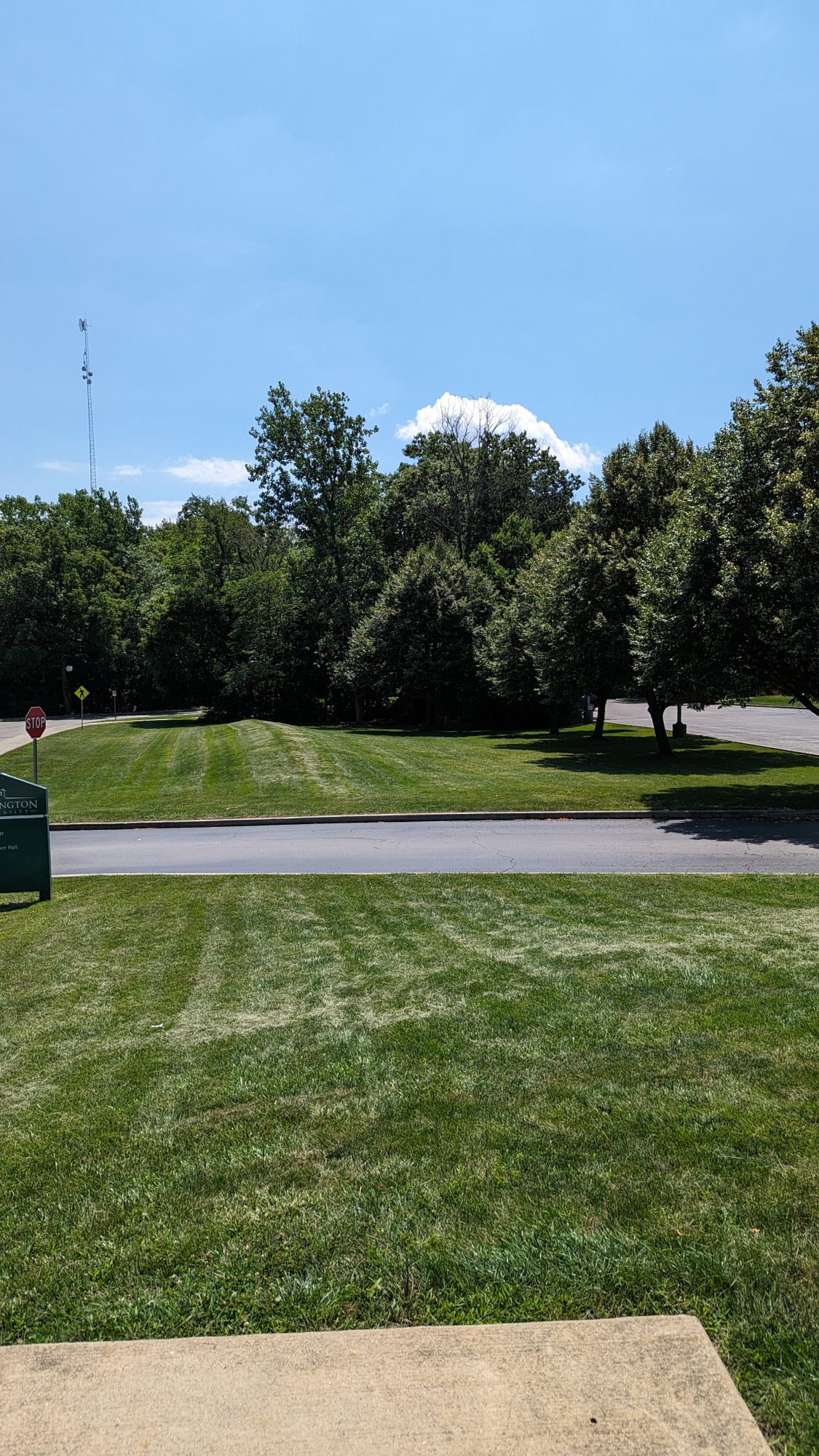 Hole 6 Tee