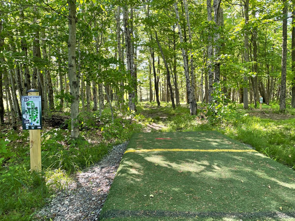 Hole 14, Blue (Long) tee.