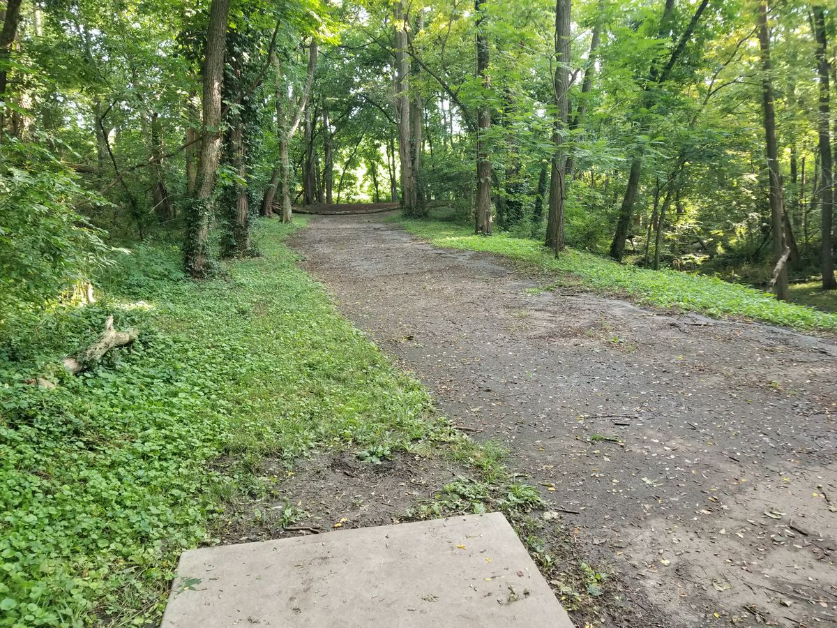 Hole 3 from tee