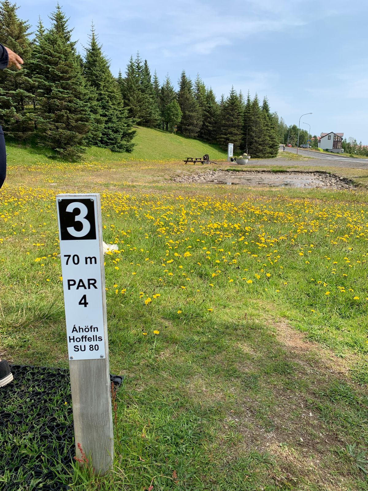 Hole 3