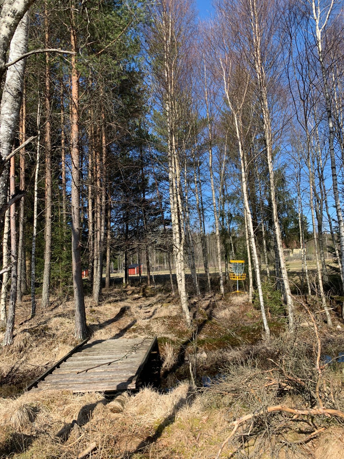 Korg, Hål 5
