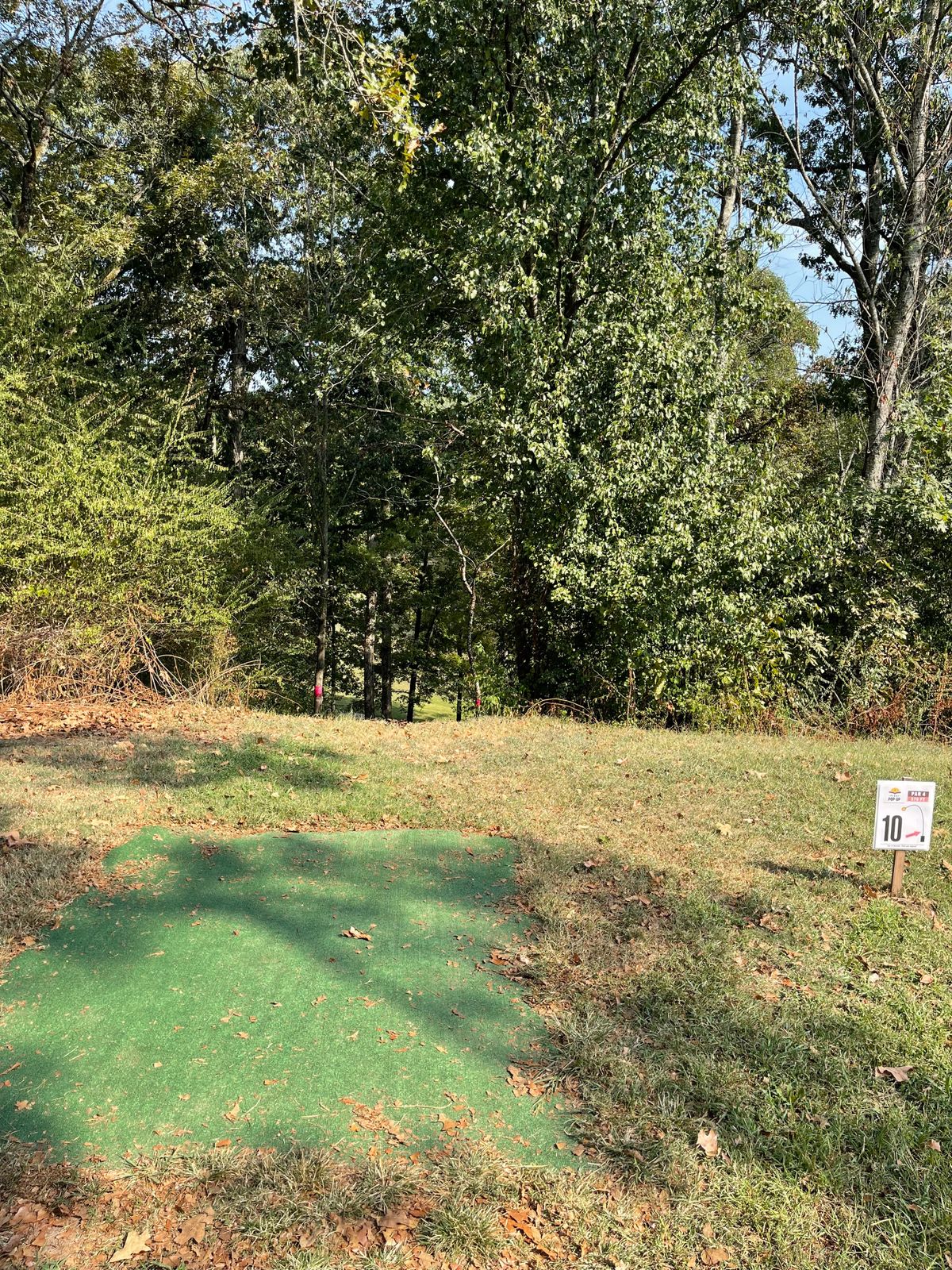 Hole 10 
Basket down and to the left