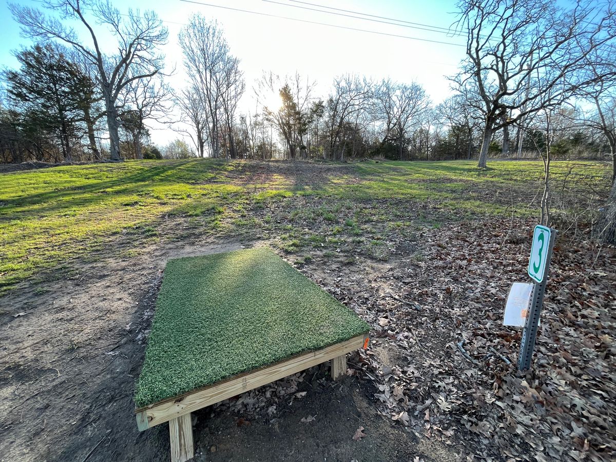 Hole 3, basket right around mound of trees