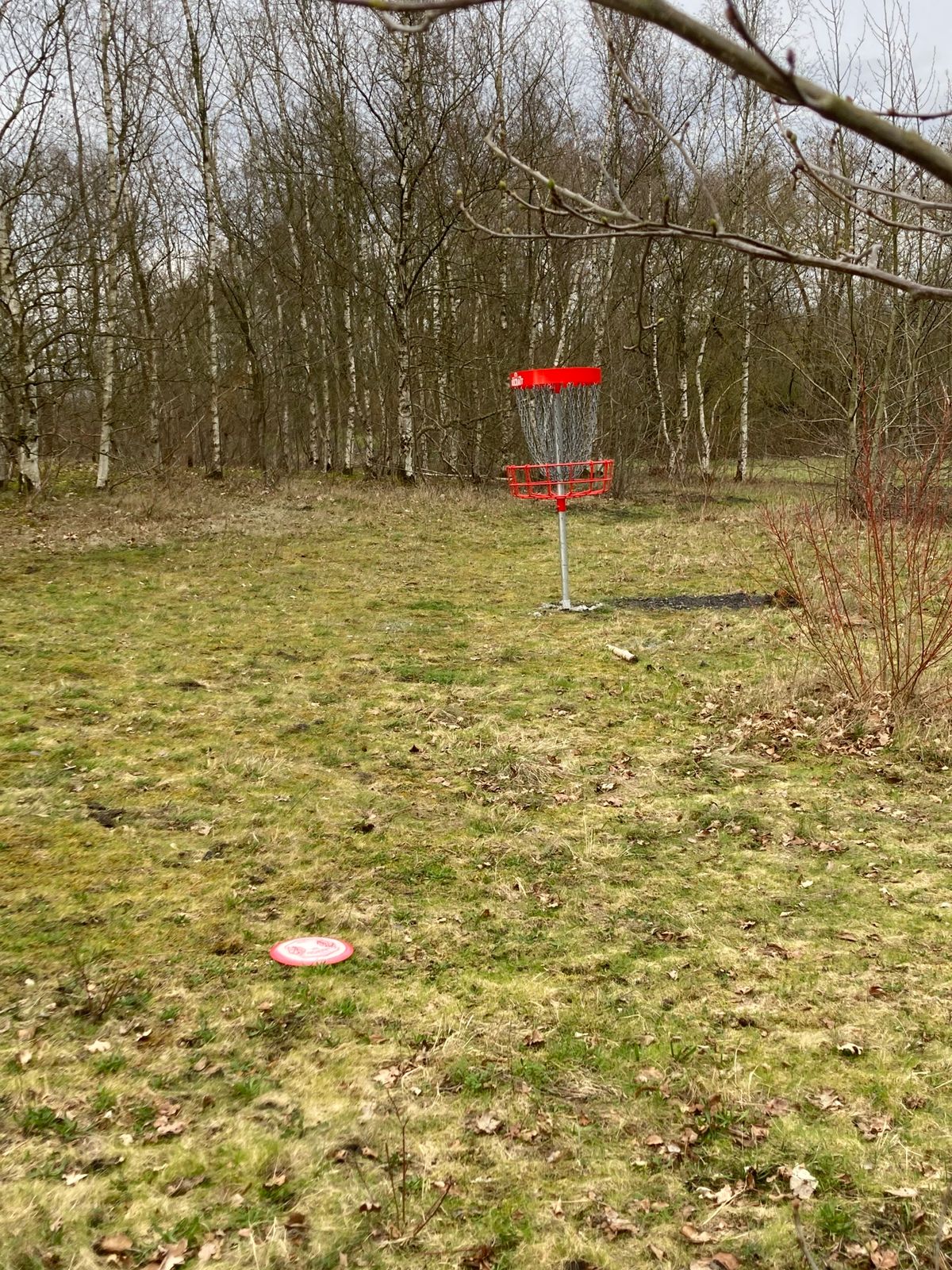 Hole 12
