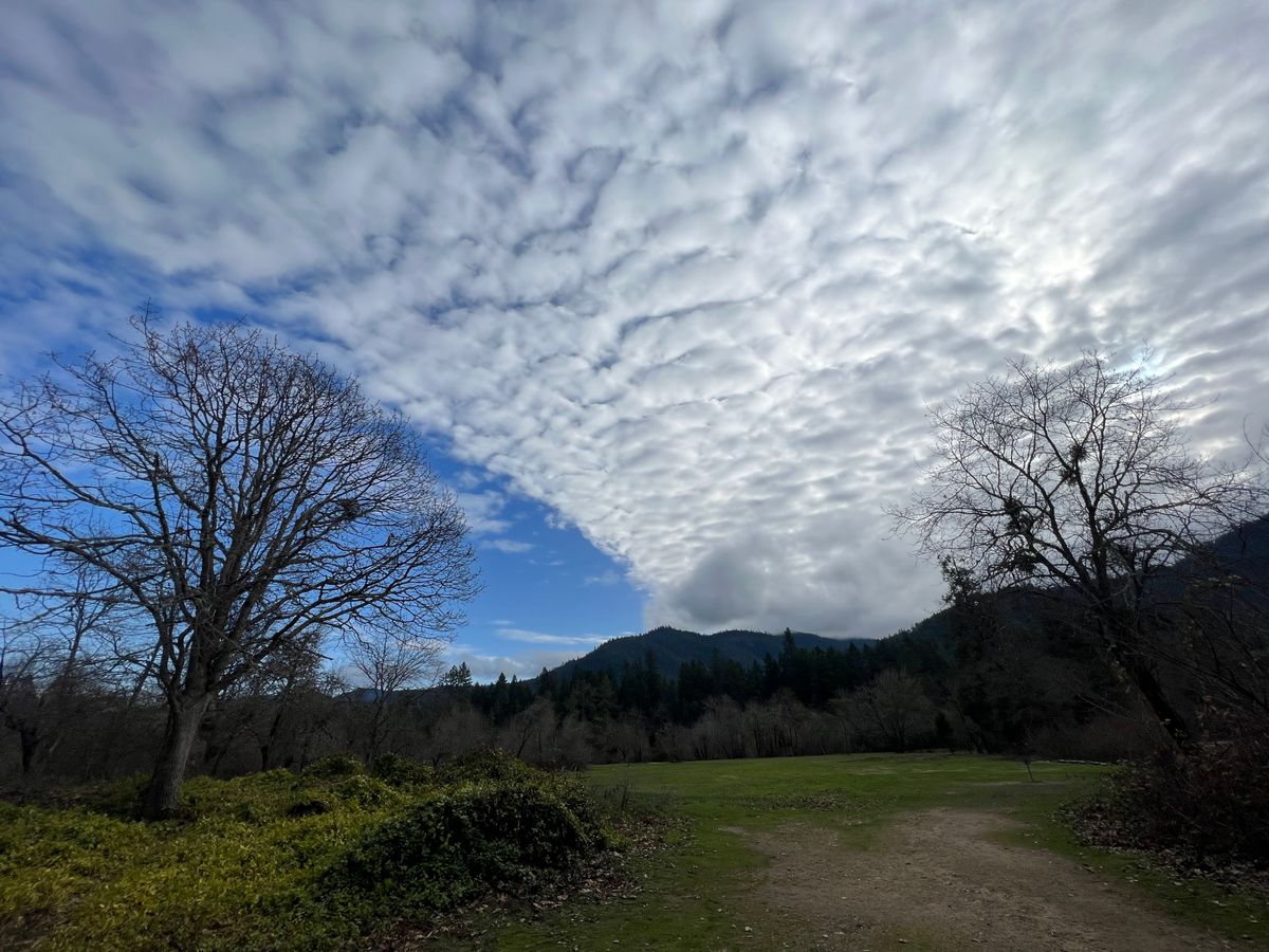 Finally got some blue skies here. Praise b 2.