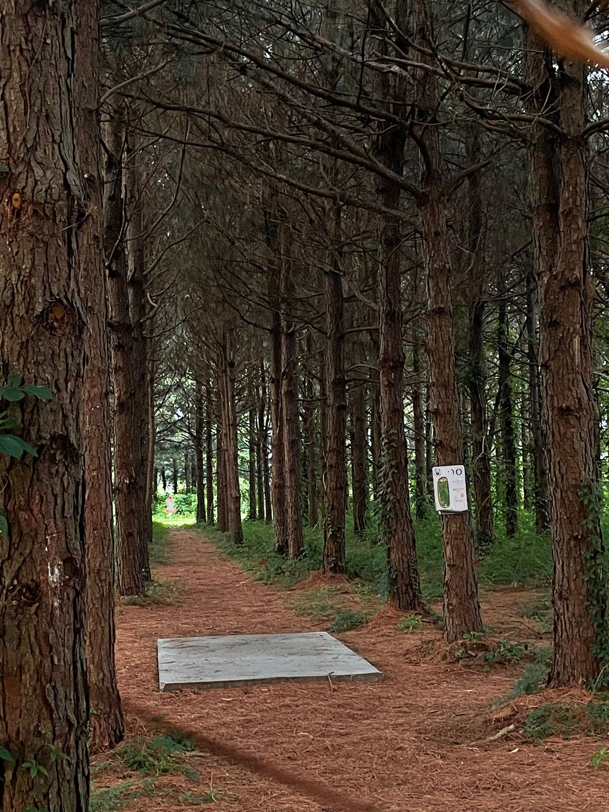Hole 10