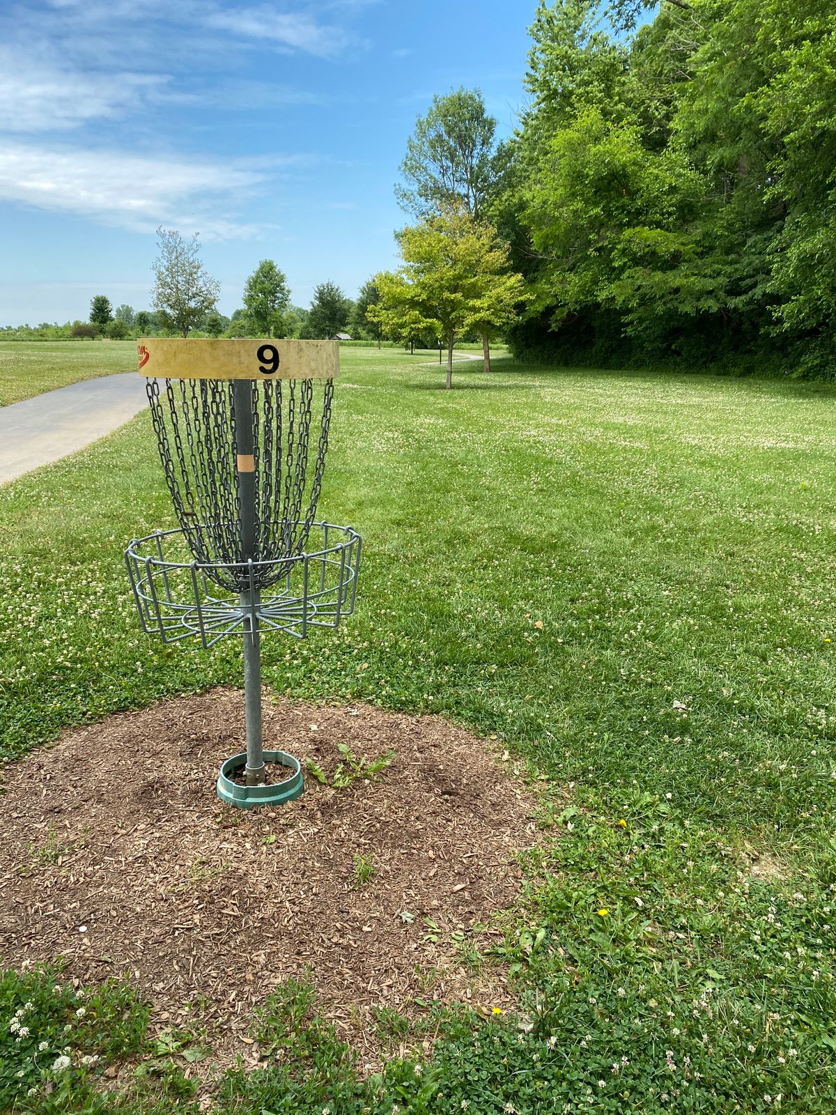 Hole 9 (Reverse)