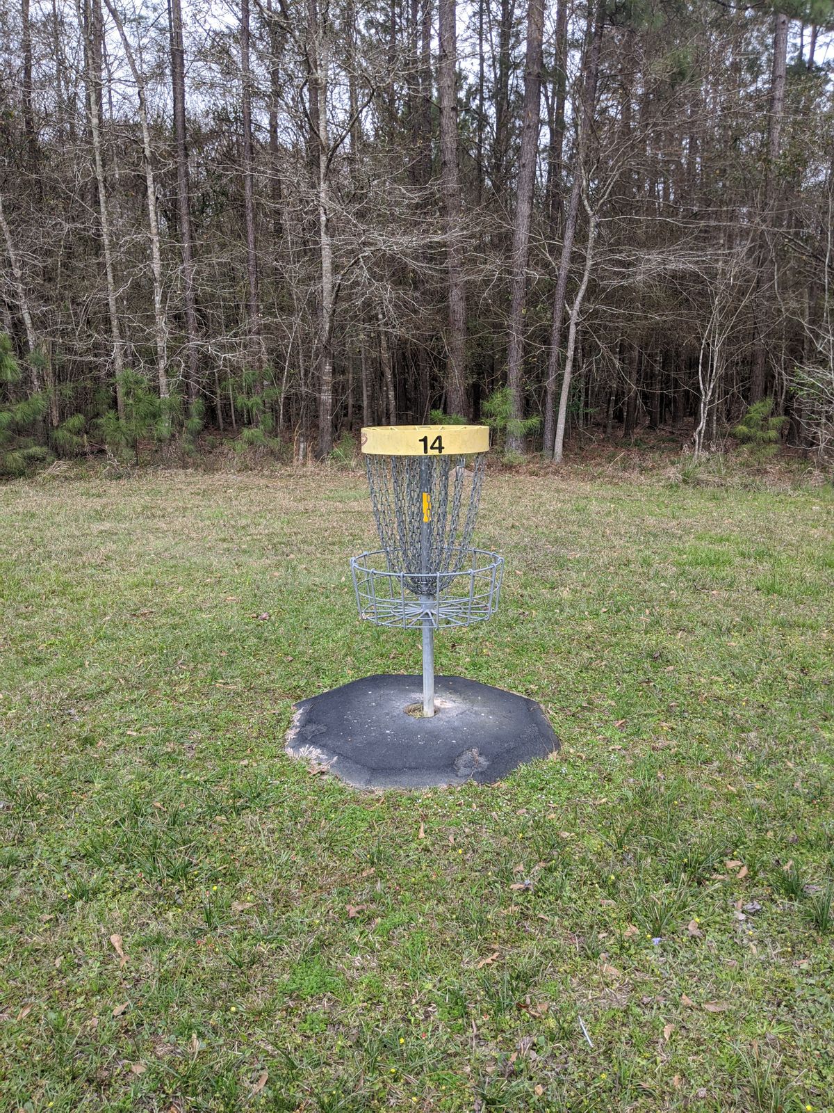 Hole 14 Basket