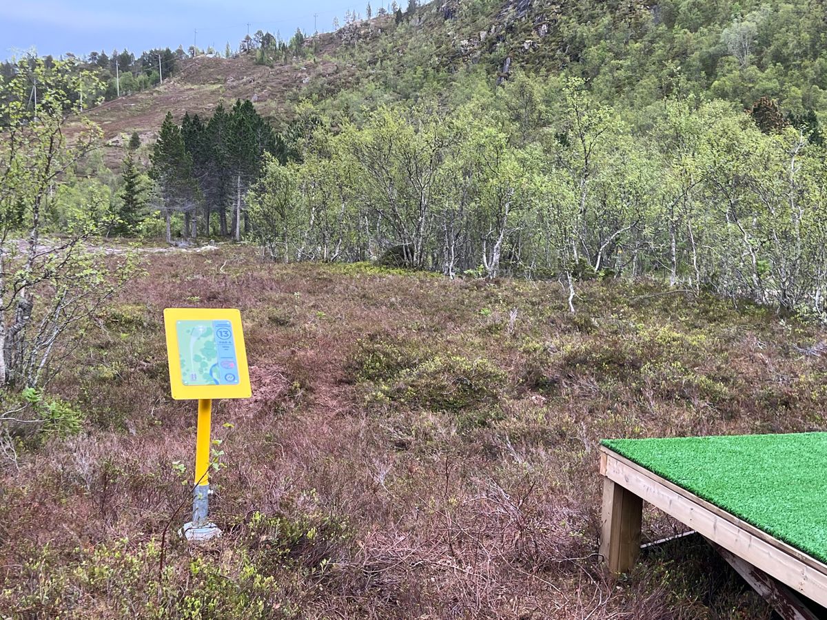 Liv Elins Strikkelykke