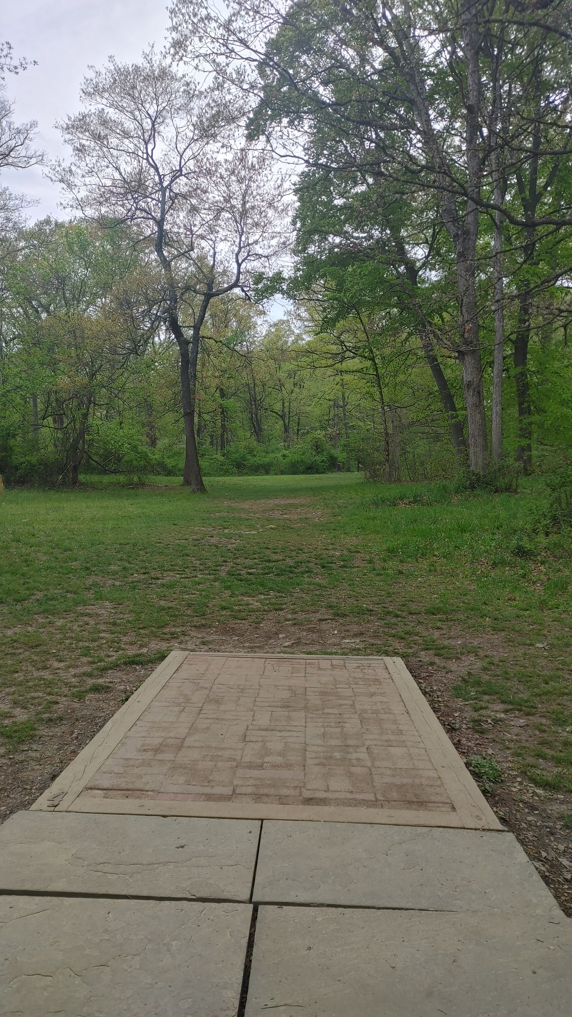 Hole 4
