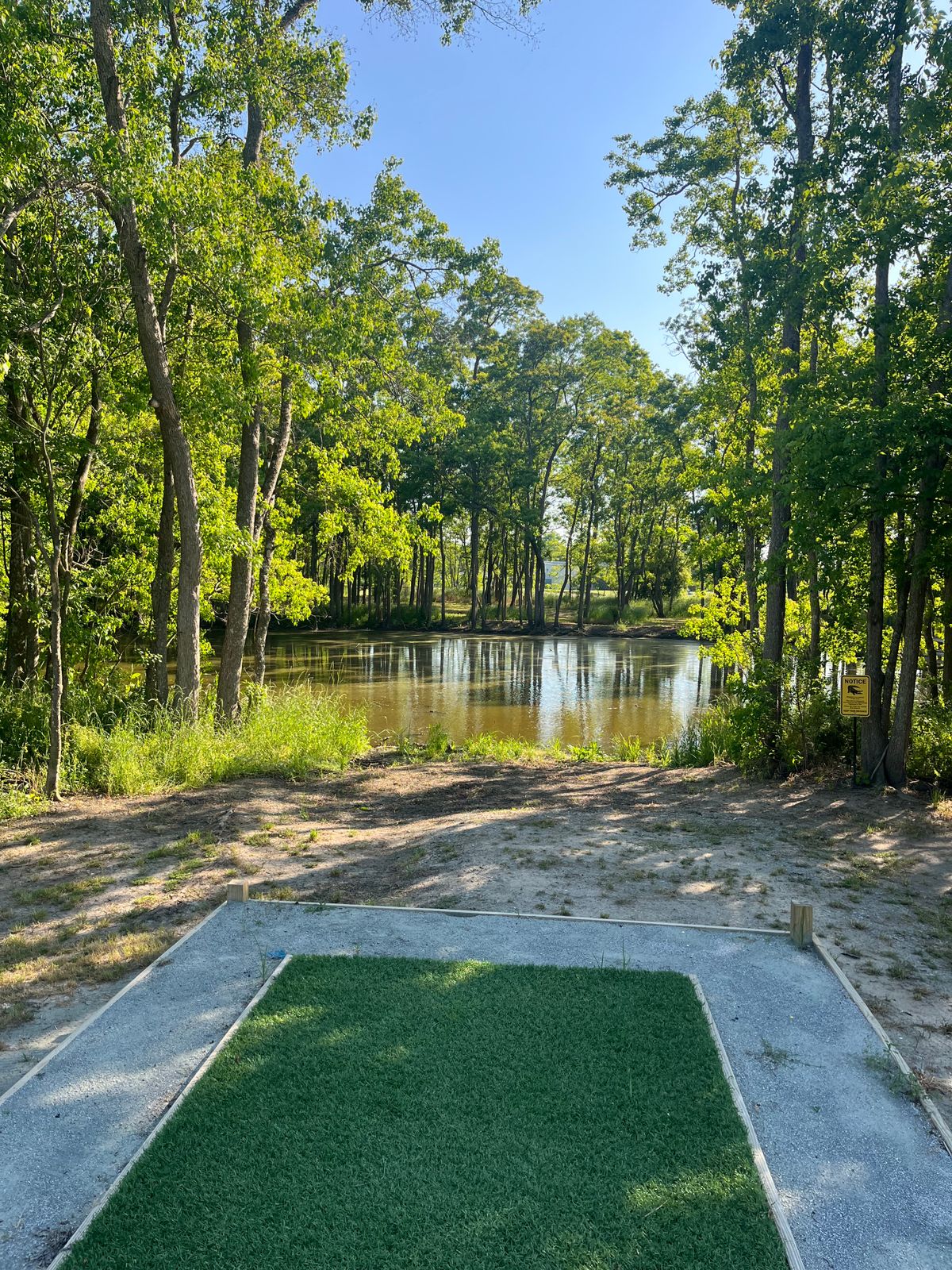 Peep the gator by the waterside. Hole 16, Blue.