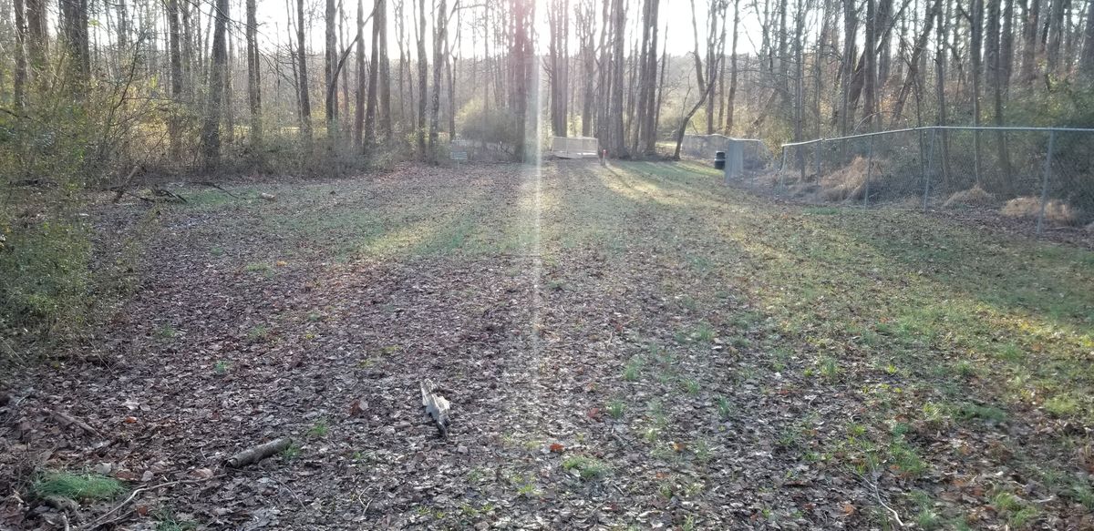 Hole 5 Fairway