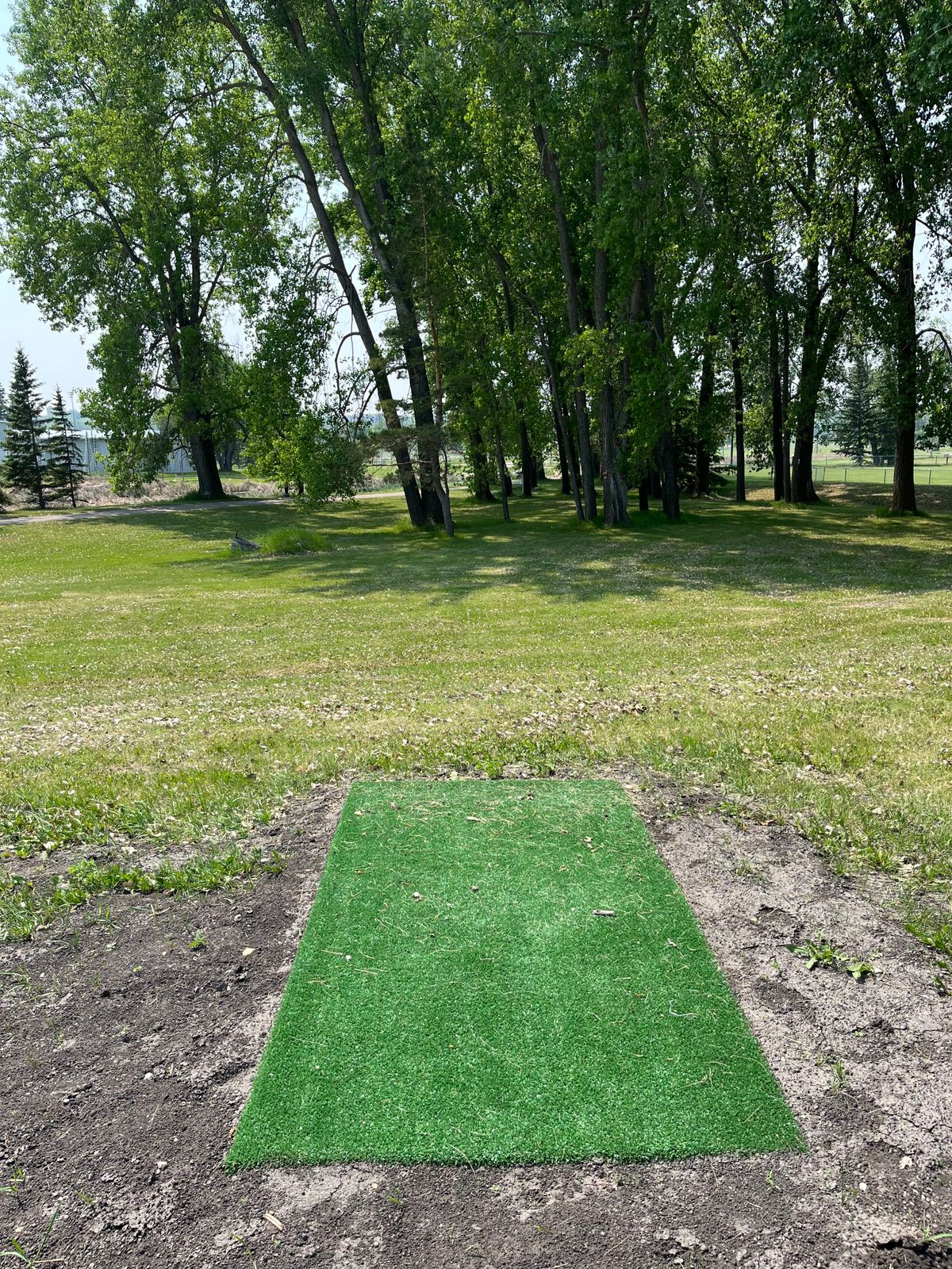 Hole 5 white tee