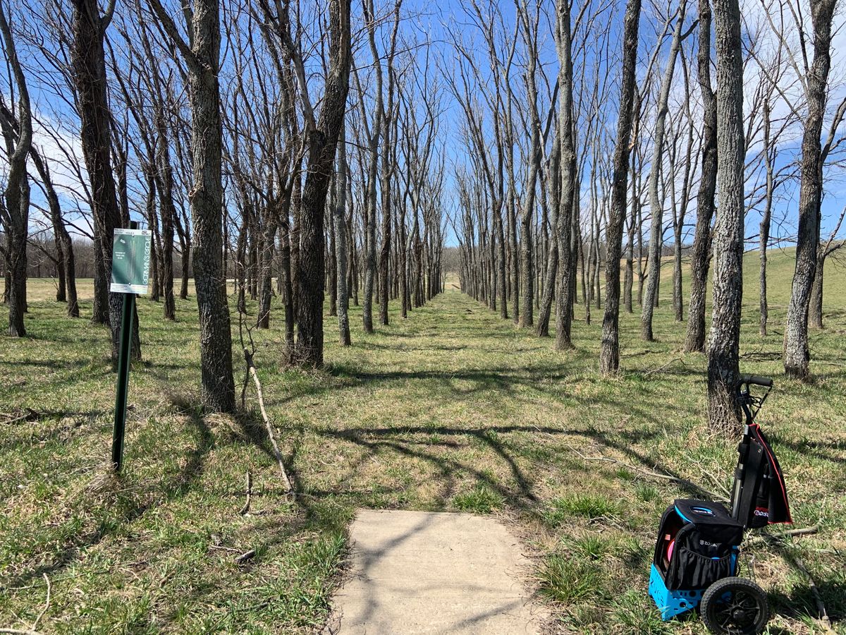 Tunnel off tee on hole 8.