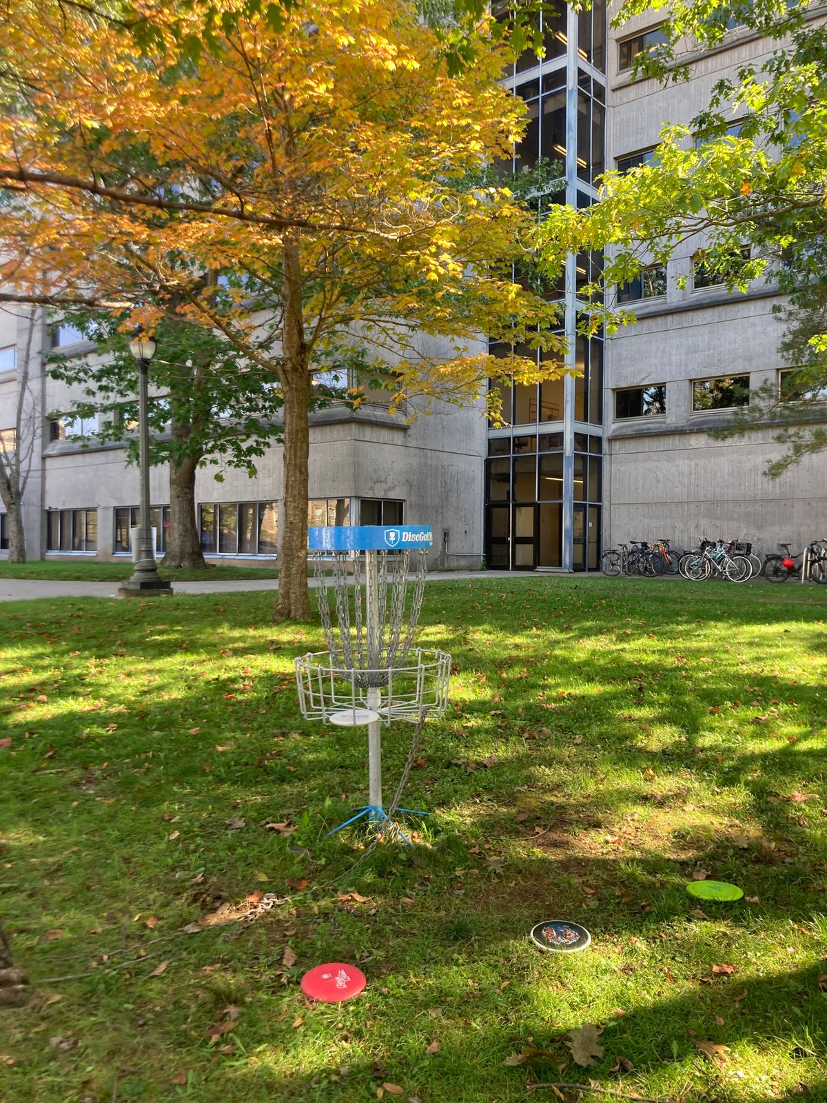 Blue DiscGolfPark basket
