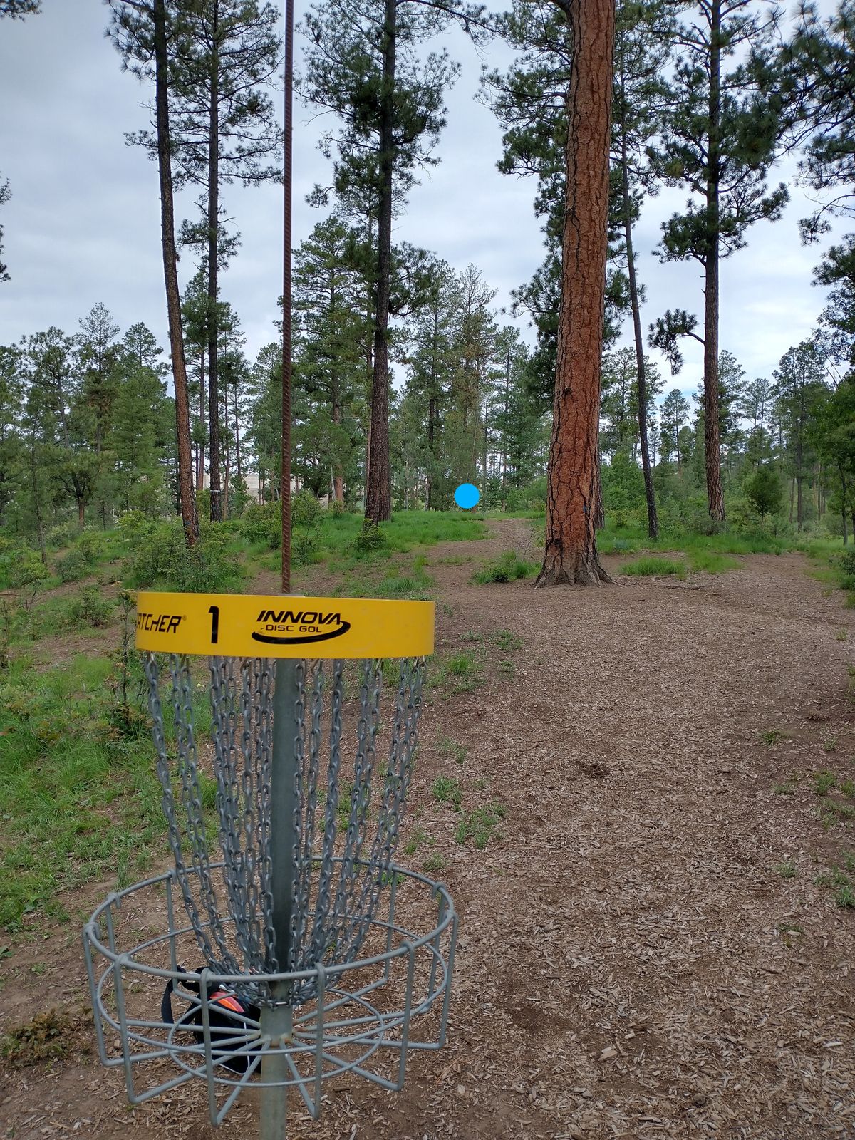 Basket 1, not visible from tee. Over the hill.