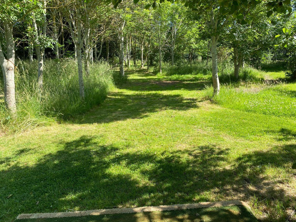 Hole 6