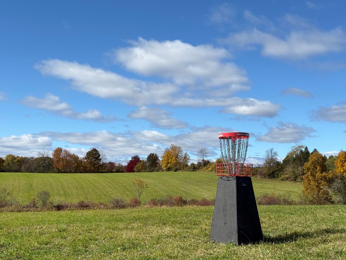 Tournament 18 basket, looking back toward the tee (on the far hill just to the left of the basket)
