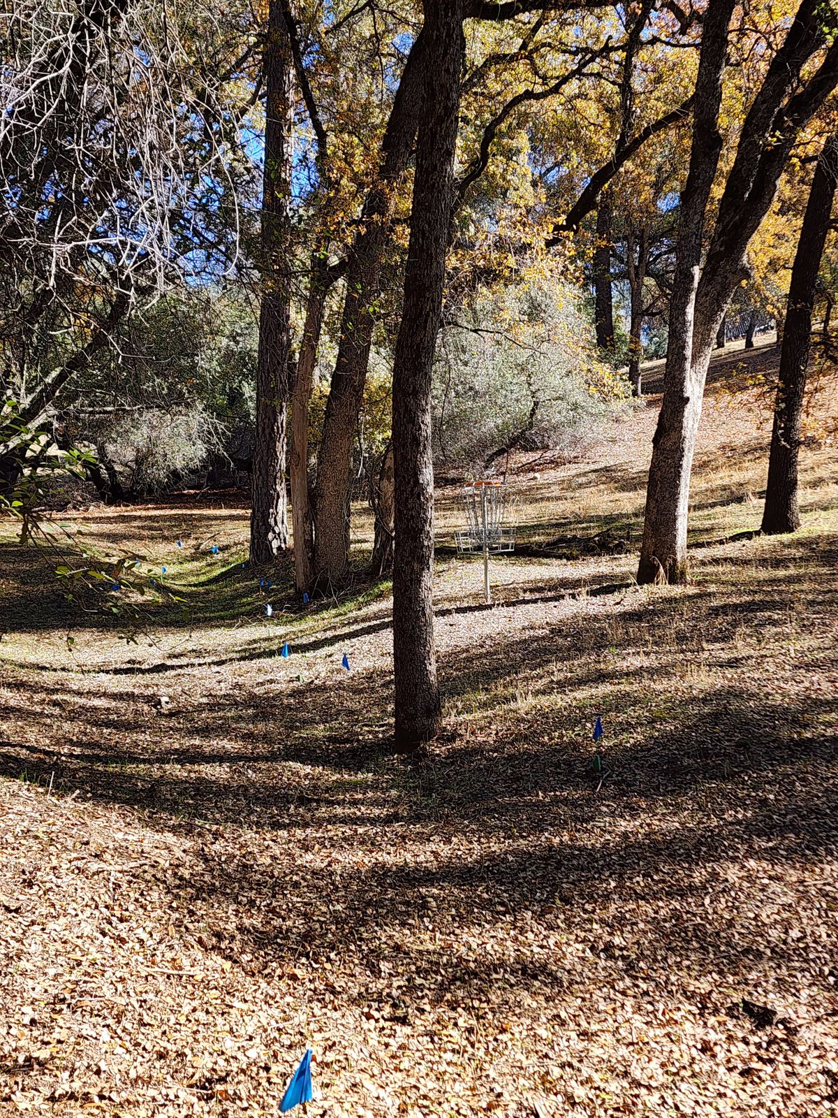 Hole 3 Green from Below Showing Flagged OB at Seasonal Creek