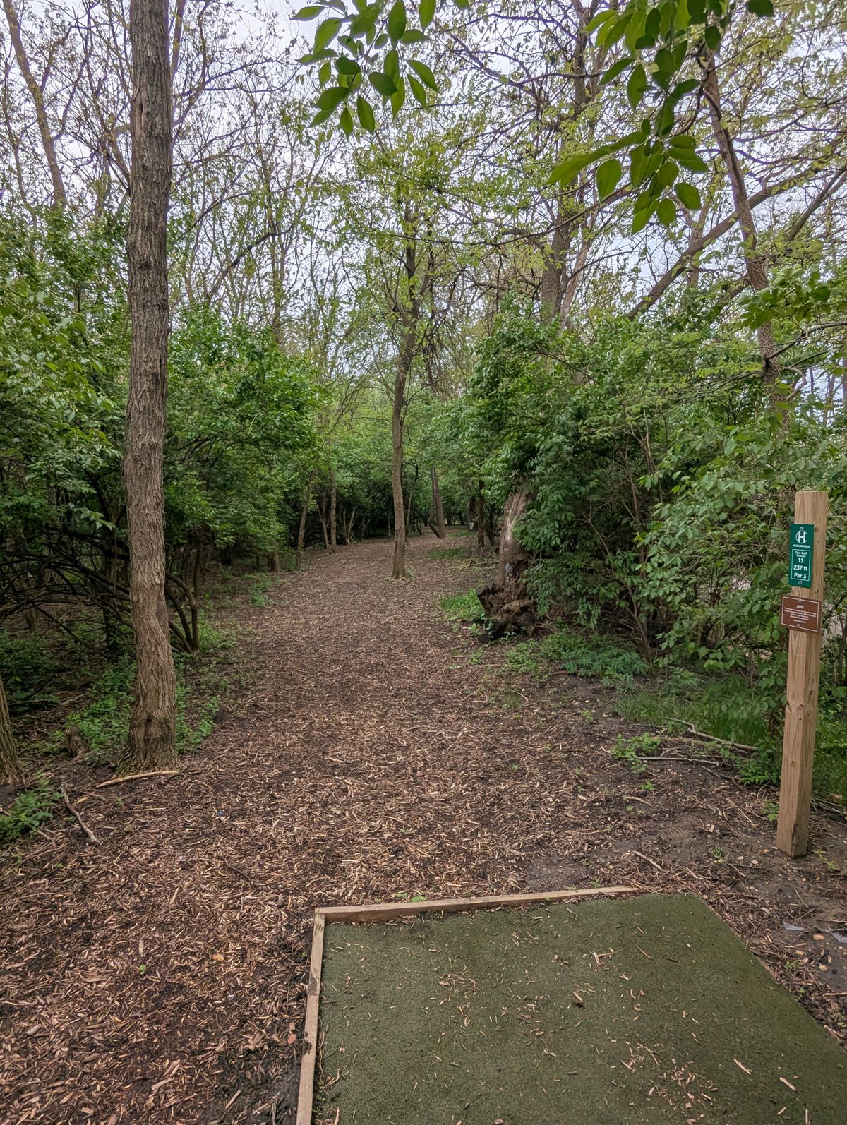 Hole 11