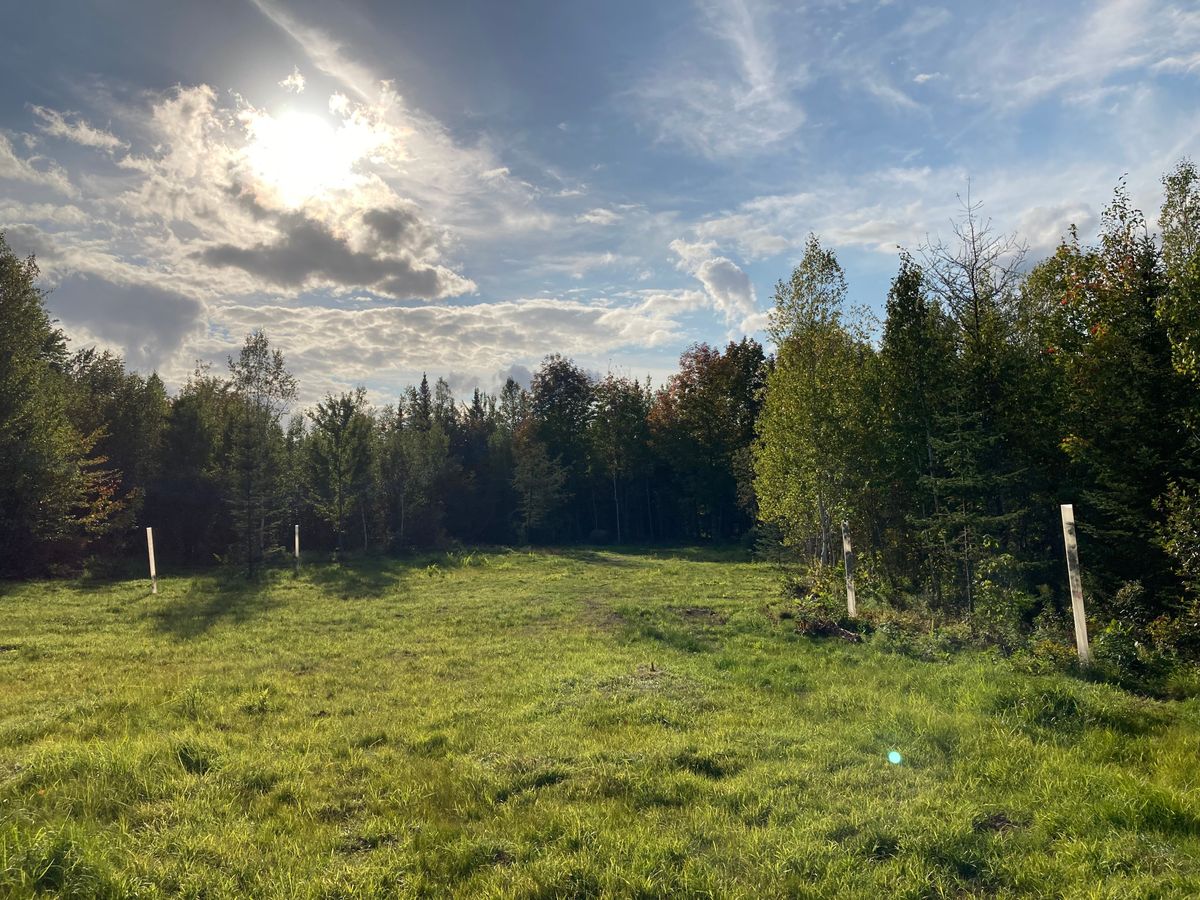 Hole 16 tee