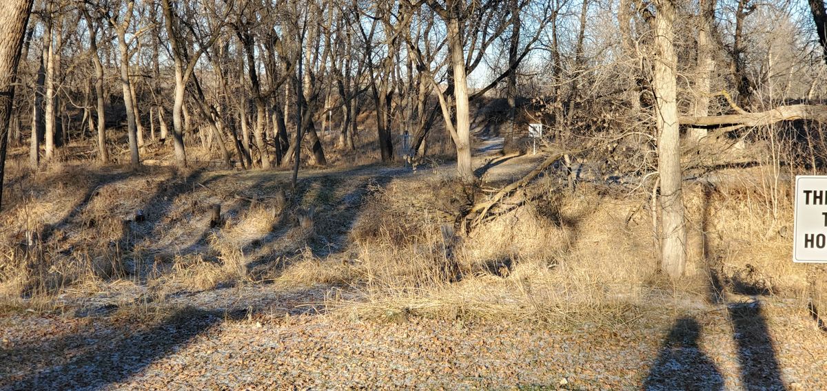 Hole 1 LZ to basket.