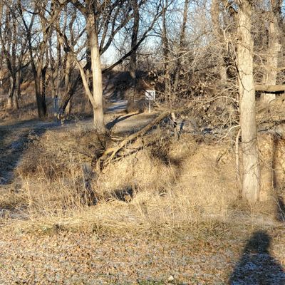 Hole 1 LZ to basket.
