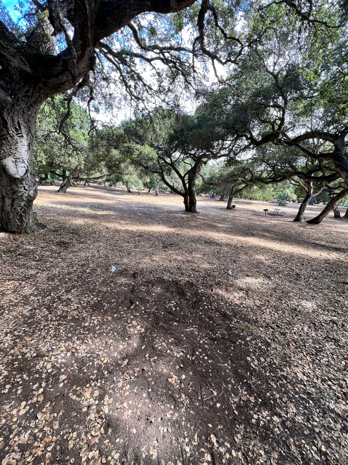 Hole 2 from the tee pad.