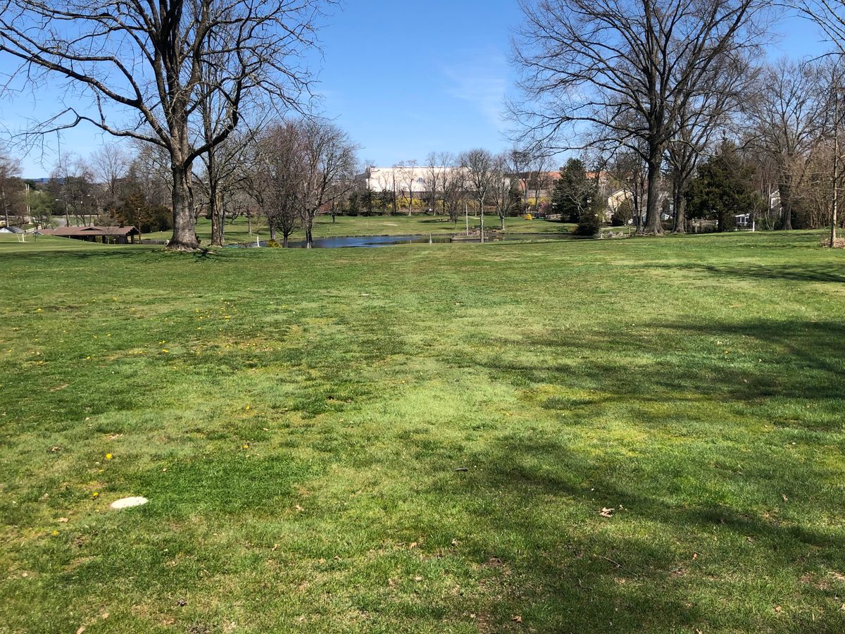 Looking down hole 7 fairway.  Basket down to the left.