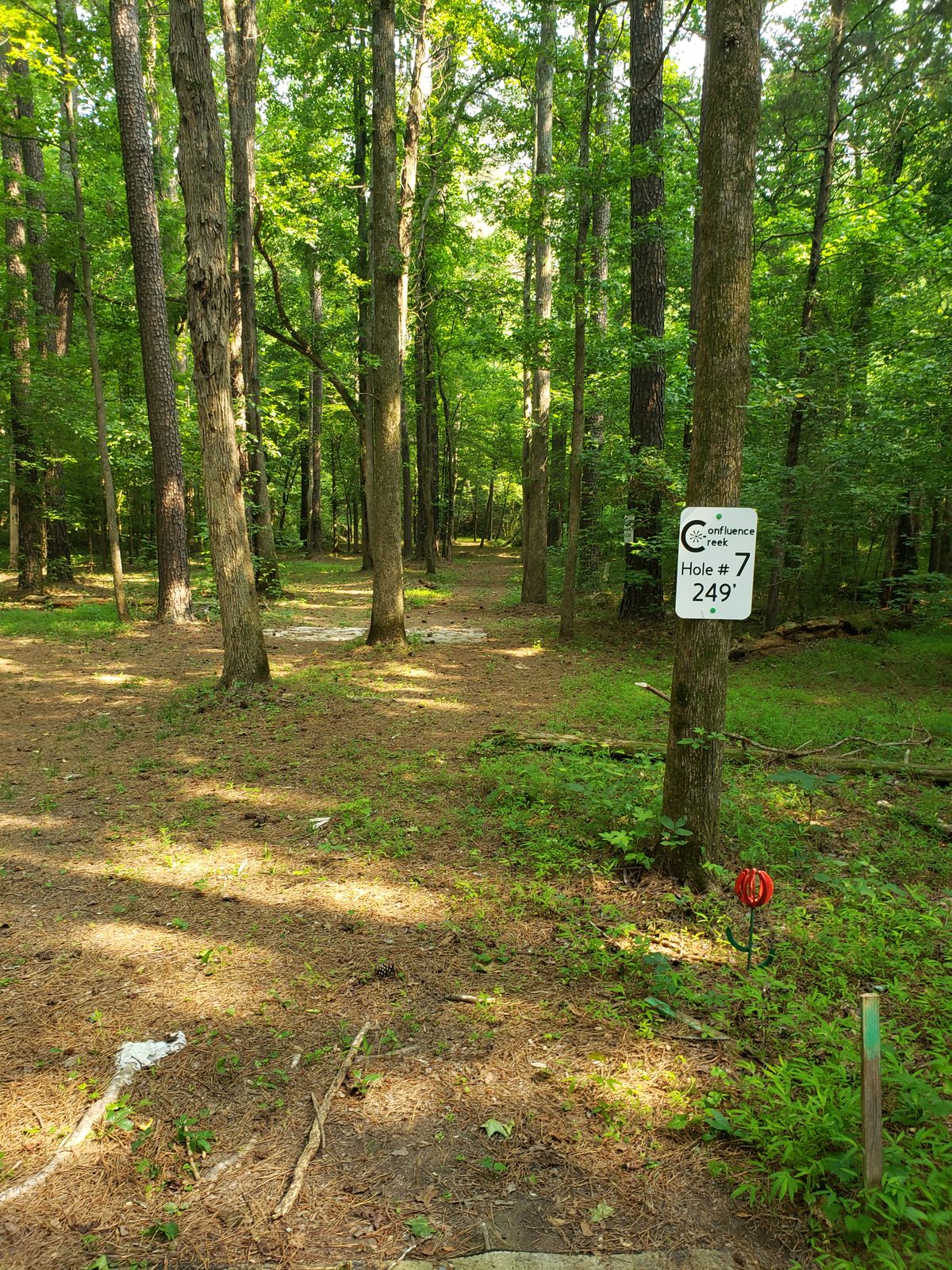 Hole 7 from tee pad. A straight shot with a slight bend to the left about 70ft from the basket. The shot throws to a basket on a peninsula, so water plays around both sides and the back of the basket.