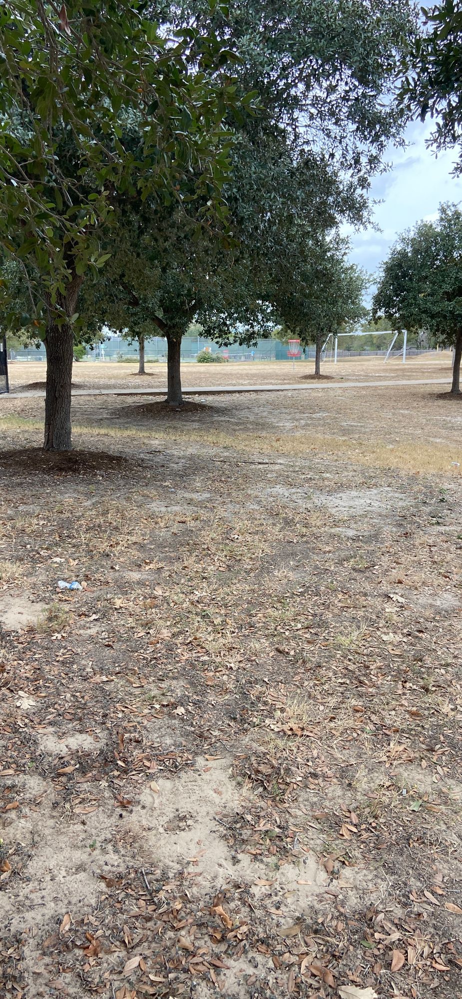 Hole 9 (ignore the first basket, target the one further away)