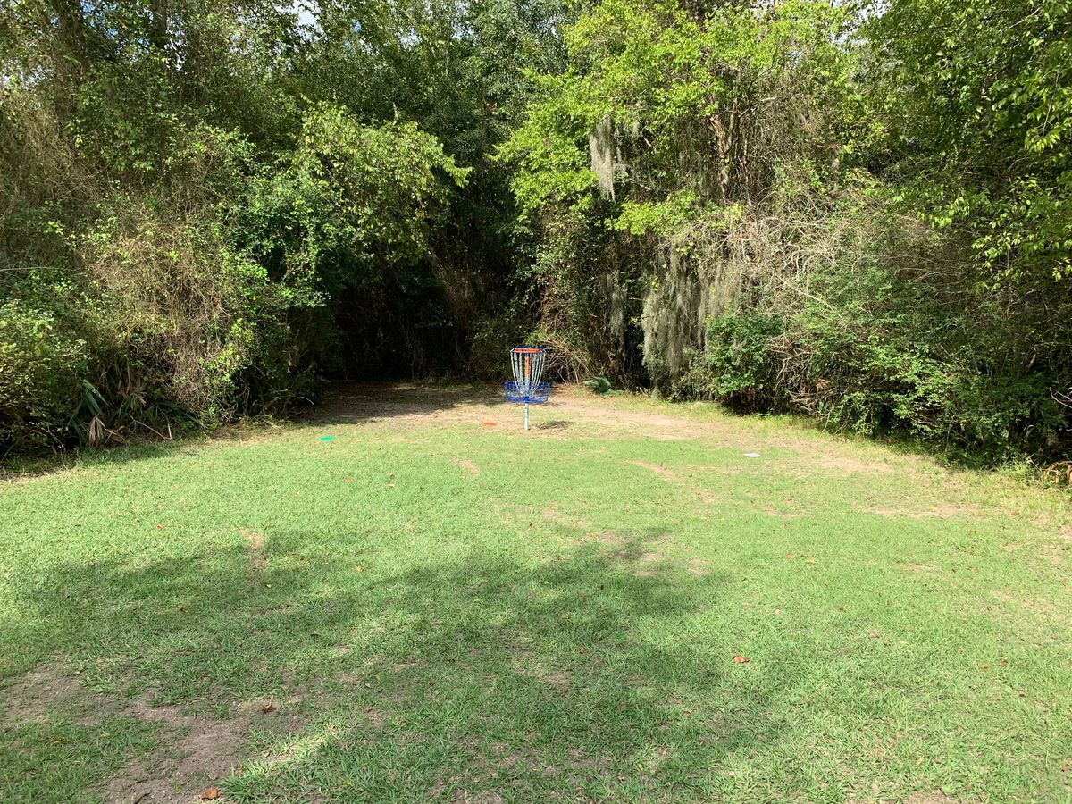 Basket on Hole 5