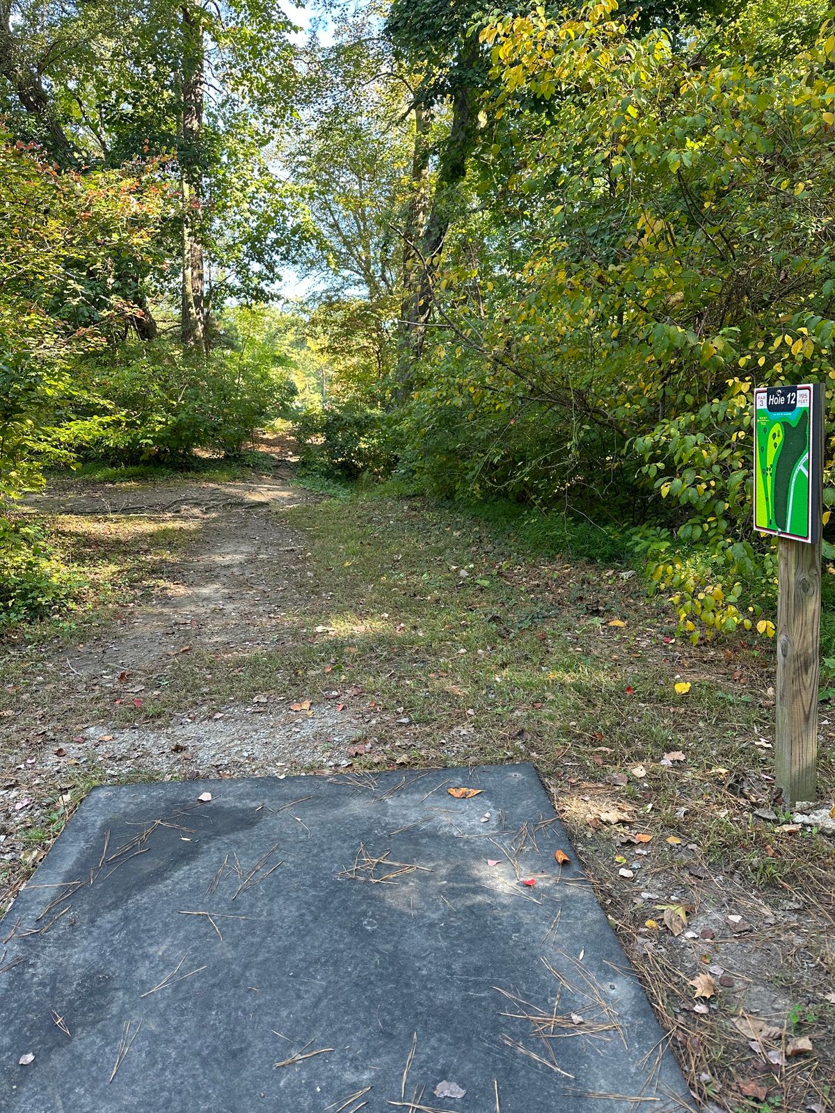 Hole #12 - dog leg right with basket on the shore of the lake