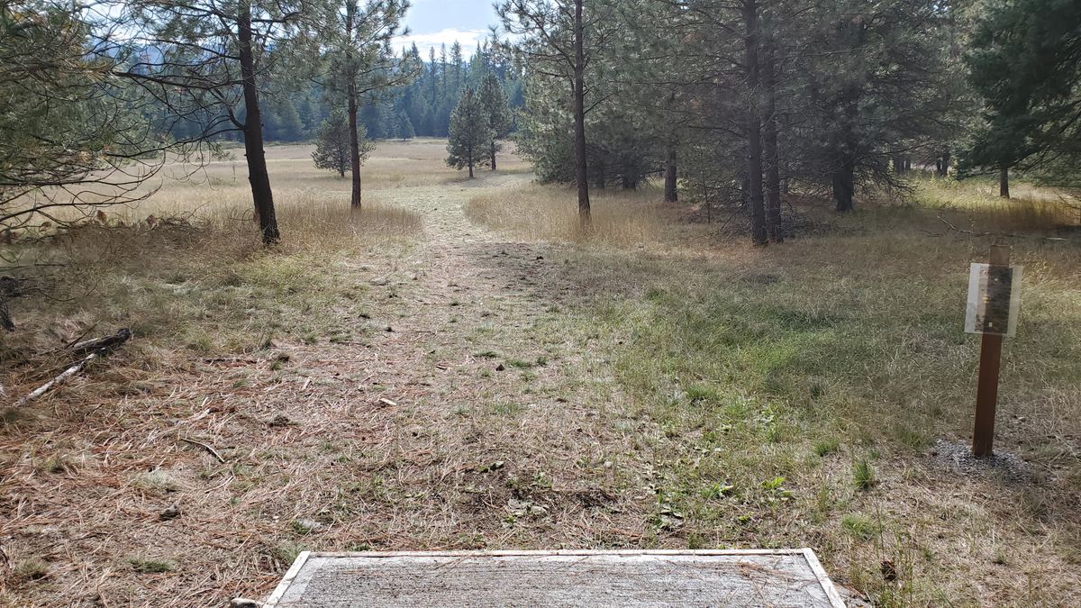 Tee pad hole 11