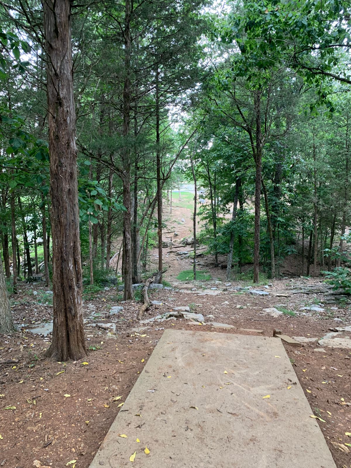 Hole 9 Tee