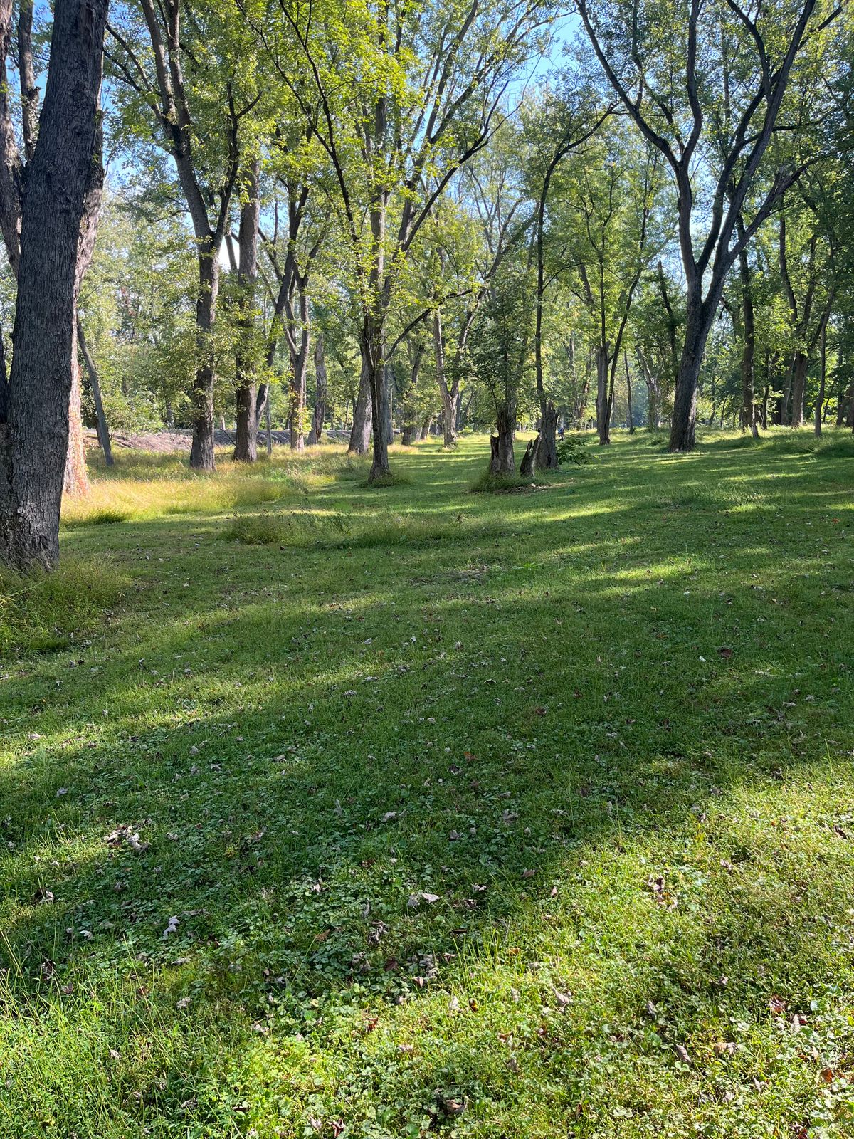 Hole 5 fairway