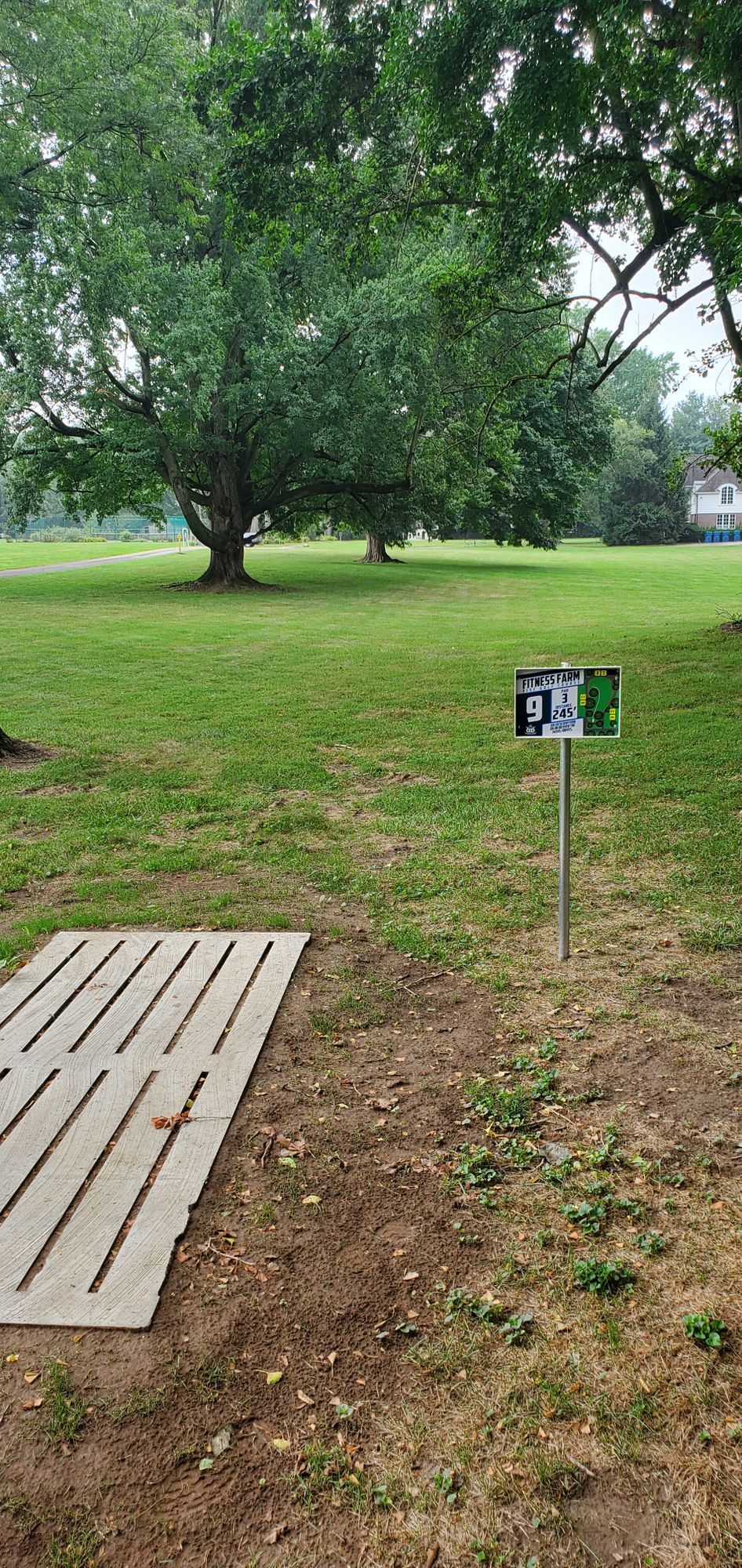 Hole 9 tee pad