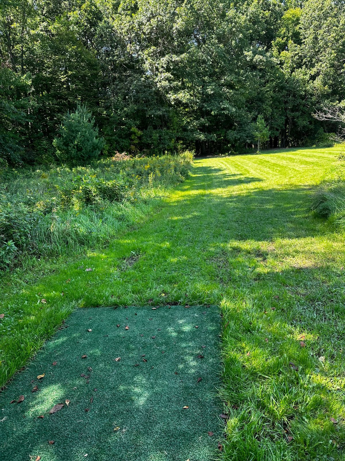 Hole eight pad