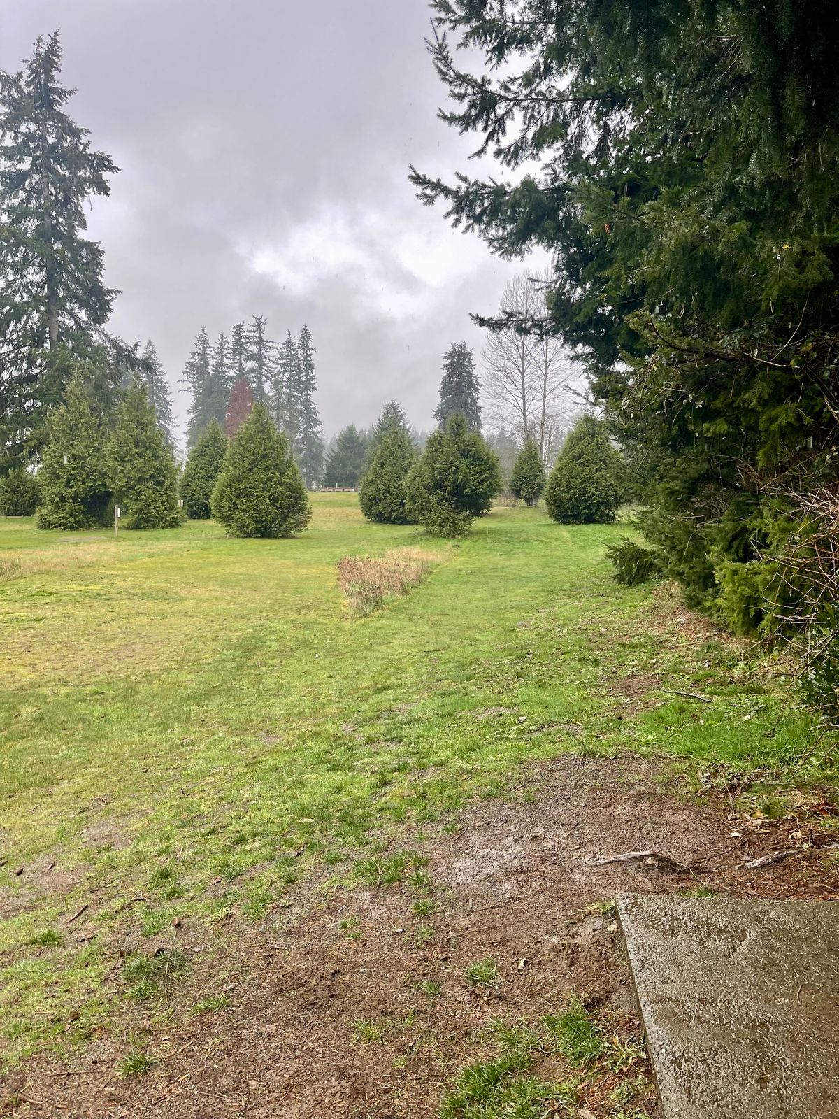 Hole 9 tee