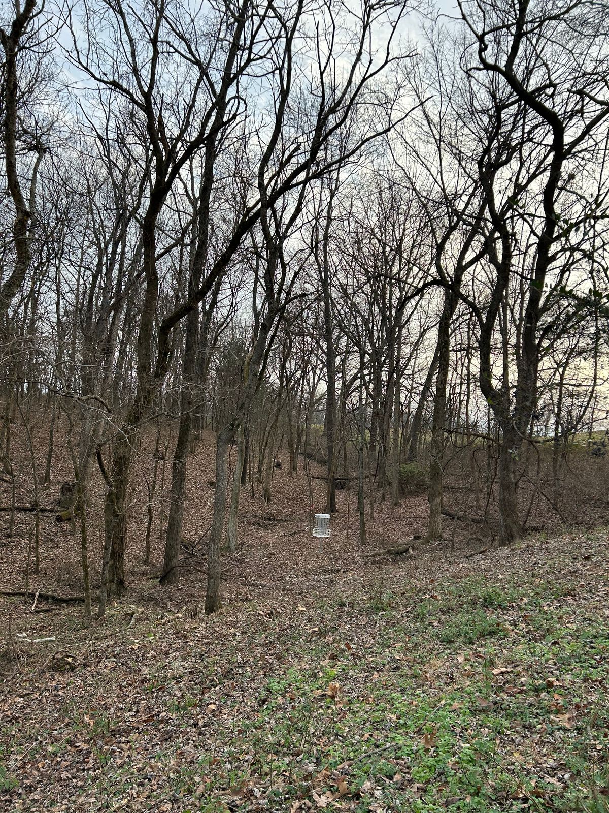 Short and long basket on 1