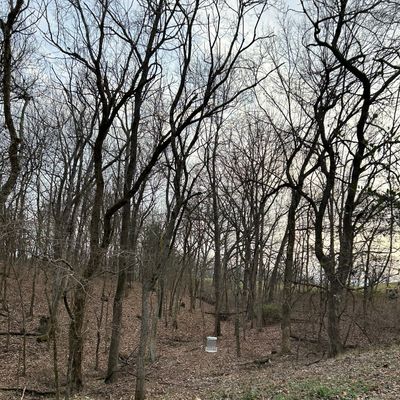 Short and long basket on 1