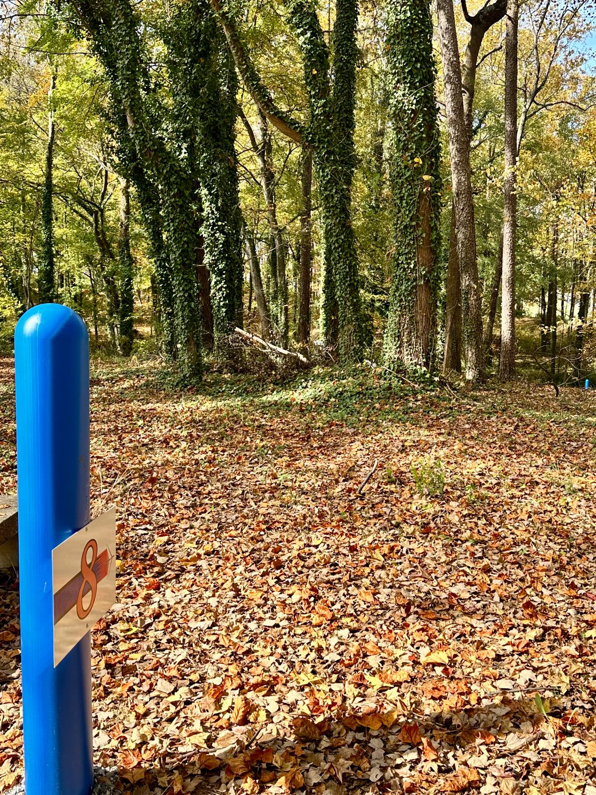 Hole 8