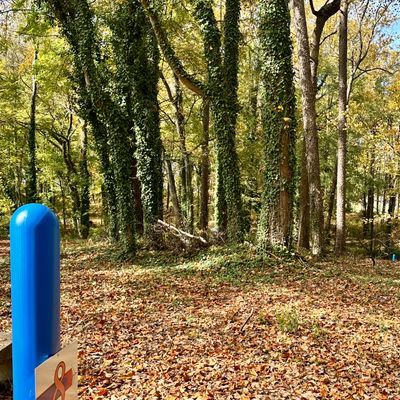 Hole 8