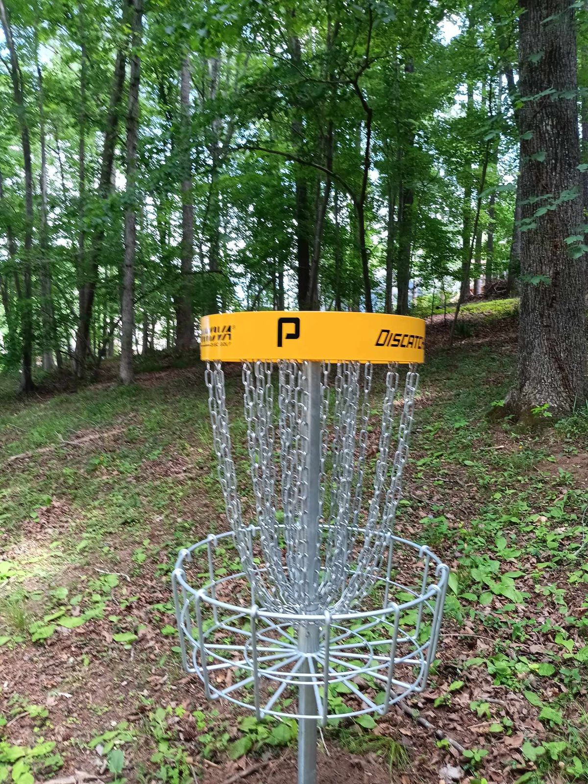 Practice basket at Chippewa 